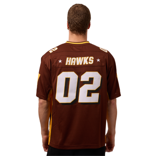 Hawthorn Mitchell & Ness Mesh Jersey