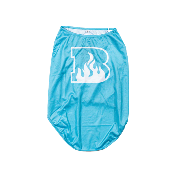 Brisbane Heat Dog Jersey