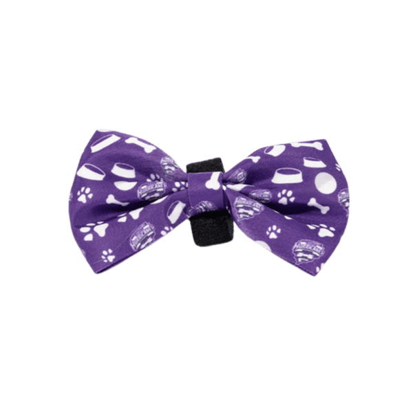 Hobart Hurricanes Dog Bowtie