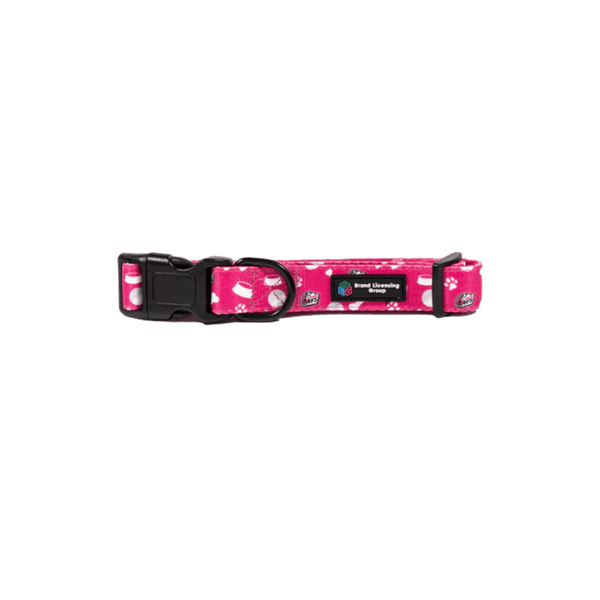 Sydney Sixers Dog Collar