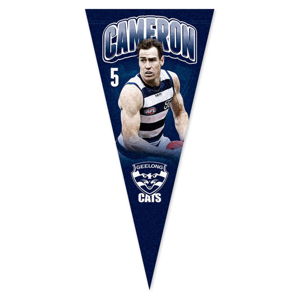 Geelong Cats Jeremy Cameron Pennant