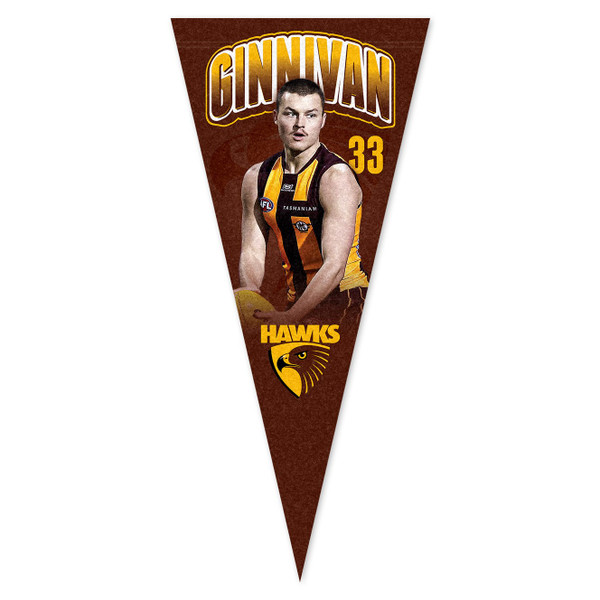 Hawthorn Jack Ginnivan Pennant
