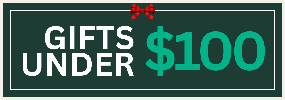 MCG Shop Christmas Gift Guide, gifts $100 and under b