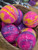Round Bath Bomb