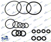 SPP  O RING KIT (ORG 256490A)