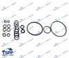 BINKS COMPLETE O RING KIT (336421)
