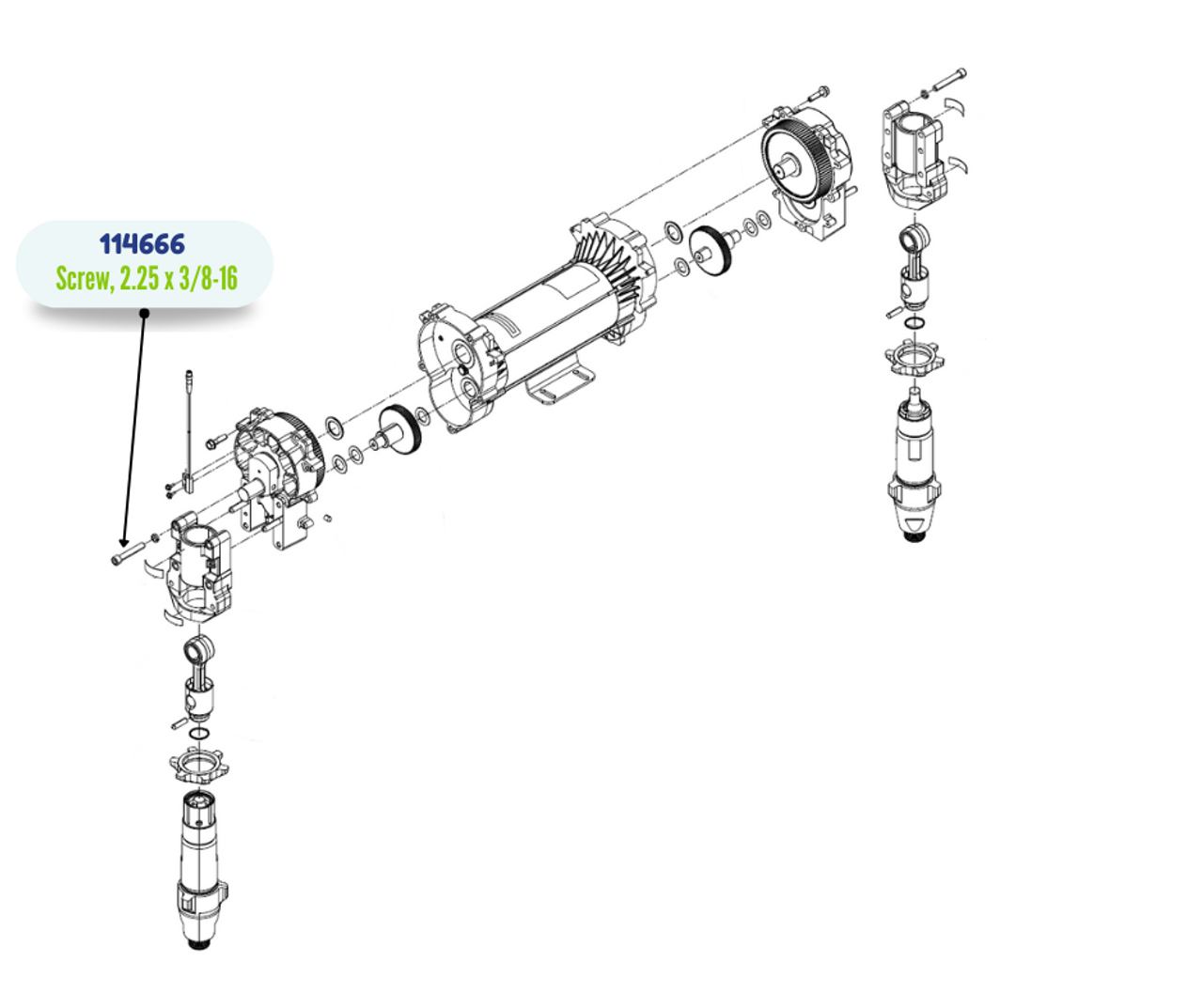 GRACO SOCKET HD CAP SCREW (114666)