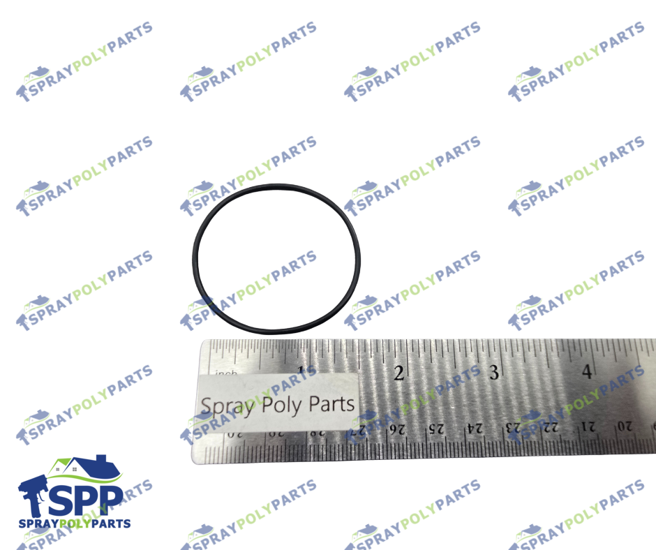 BINKS END CAP O RING (336420)