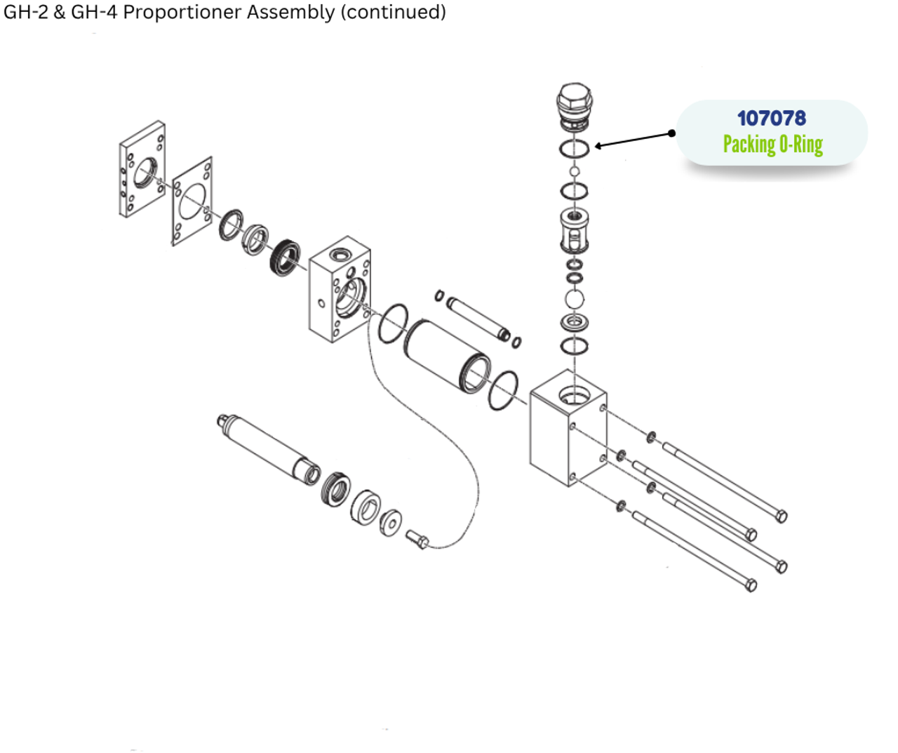 GRACO ORING PACKING (107078)