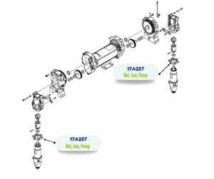 GRACO PUMP JAM NUT (17A257)