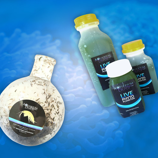 Live Fish Food – P2Power Pack – Large | Pods + Phyto – Ships Free Next Day Air – World View Farms