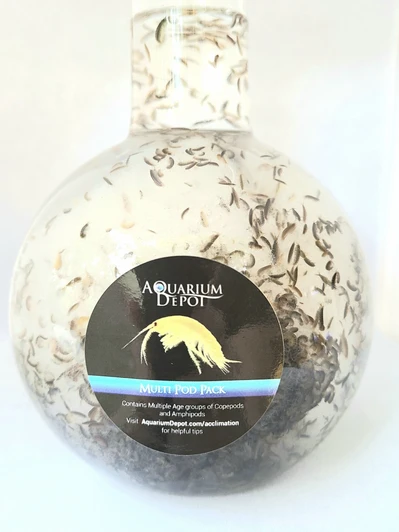 Reef Builder XXL Pod Pack™ | 3 Large Bags of Live Amphipods | FREE Overnight Shipping