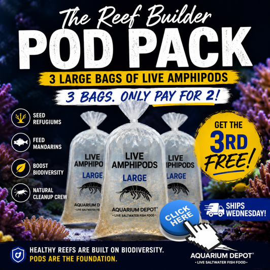 Reef Builder XXL Pod Pack™ | 3 Large Bags of Live Amphipods | FREE Overnight Shipping