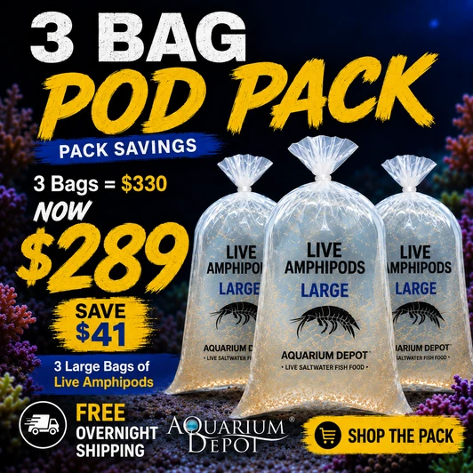 Reef Builder XXL Pod Pack™ | 3 Large Bags of Live Amphipods | FREE Overnight Shipping