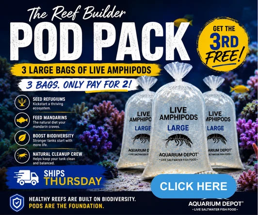 Reef Builder XXL Pod Pack™ | 3 Large Bags of Live Amphipods | FREE Overnight Shipping