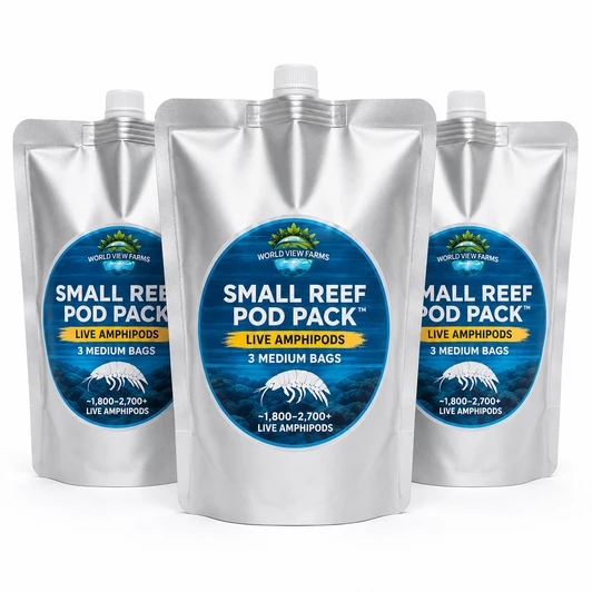 Reef Pod Pack™ for Medium Aquariums | 3 Medium Bags of Live Amphipods | FREE Overnight Shipping