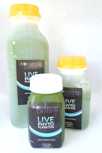 Phytoplankton - 8oz