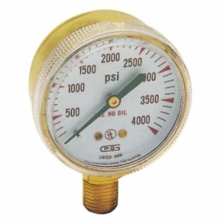 Gentec G20B-F100SP Gw 33-G20B-F100P Gauge 2"X100P