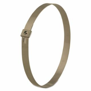 Band-It AS6259 Tie-Lok Tie Sid 304Ss 3/8 X 0.020 X 30.5 Bg/100 (1 BG)