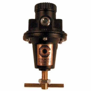 Coilhose Pneumatics 8802K 15183 1/4" Regulator Tamperproof Key Control