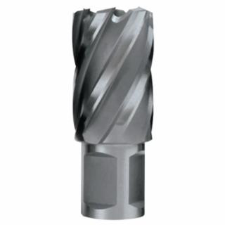 Evolution CC100L Cyclone Cutter 1"X2"