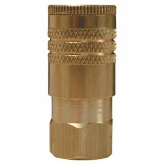 Dixon Valve DCP38 1/4 Npt Female
