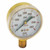 Gentec G20B-F100SP Gw 33-G20B-F100P Gauge 2"X100P