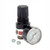 Alemite 7624-A Mini Regulator & Gauge 1
