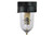 Coilhose Pneumatics 8822D 1/4" Filter W/Auto Drain