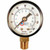 Coilhose Pneumatics GB14160 30256 0-160Psi 2"Gauge 1/4"Mpt Bottom Moun