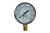 Coilhose Pneumatics GB16160 2-1/2" Chrome Case Gauge1/4 Bot Mnt 0-160