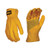 Dewalt DPG32XL Premium Ab Grade Leatherdriver - XL (1 Pair)