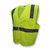 Radians SV2GSL Economy Tpr/Cl2 Solid Safety Vest-Grn-L