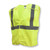 Radians SV4GS3X Econ Tpr/Cl2 Bkwy Sol Safety Vst-Grn-3X