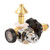 Western Enterprises RPB-5HG We Rpb-5Hg Regulator