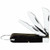 Klein Tools 1550-6 3 Blade Pocket Knife with Screwdriver