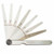 L.S. Starrett 50656 172Mbt 9 Leaves Thicknes