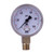 Wika 4245751 2-6000-B Brass Case
