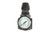 Coilhose Pneumatics 27R4 1/2"Npt Regulator