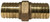 Lead-Free Bronze Insert Union 1/2 INSERT X INSERT Lead-Free ADAPTER - 973960LF