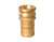 Buchanan Rubber CGE-050-B1 Cam and Groove Adapter, 1/2 in Type E x 1/2 in Hose Shank, Brass