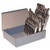 Alfa Tools ST50193 15pc Solid Carbide Jobber Drill Set