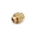 AMC 706104-02 Pipe Union, 1/8 in FIP x 1/8 in FIP, 1-1/4 in, Brass