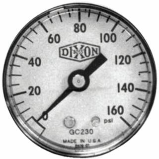 Dixon Valve GL130 2 Steel Lower Mt Dry Gauge
