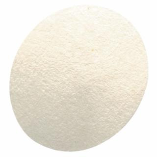 MSA 710917 Hydrophobic Filter