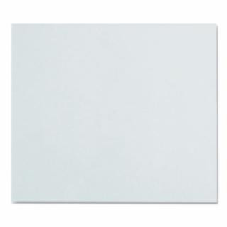 Jackson Safety 20755 90110 Pc Polycarbonatecover Plate 3015038 (10 EA)