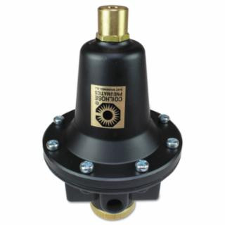 Coilhose Pneumatics 8804K 1/2" Tamperproof Regulator