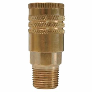 Dixon Valve DCP37 1/4 Npt Male