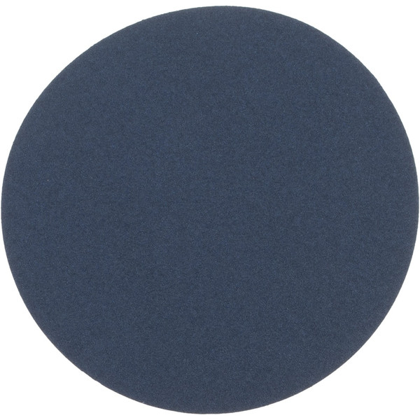 Norton 66261138317 10" Blank 80-Y Grit R821Norzon Plus Psa Di (25 EA)