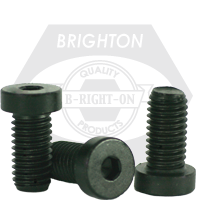 1/4"-28 x 5/8" Low Head Socket Cap Screws, Thermal Black Oxide, Fine (UNF), Alloy Steel, Qty 100